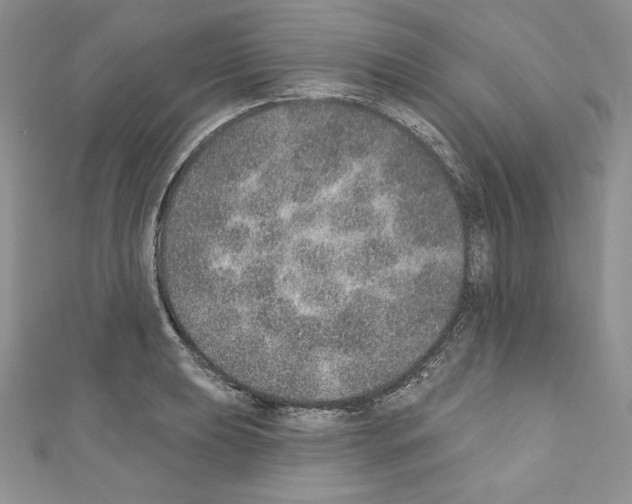 X0000110761039200907271139