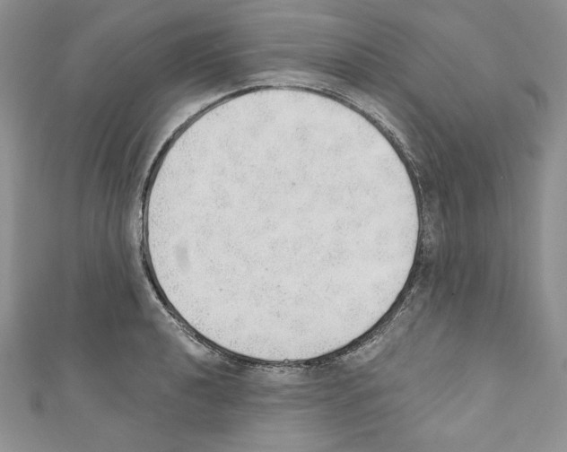 X0000110761040200907271139