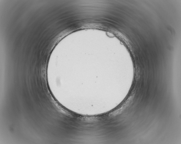 X0000110761041200907271139