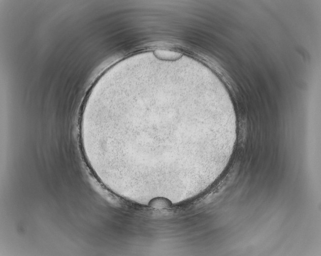 X0000110761042200907271139