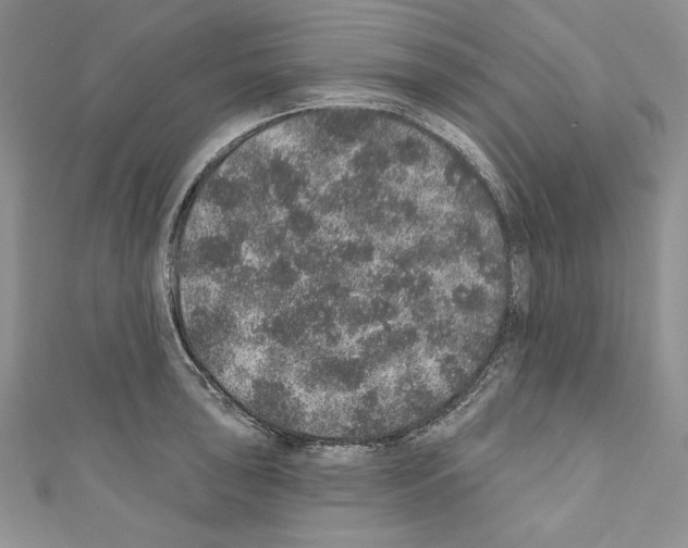 X0000110761043200907271140