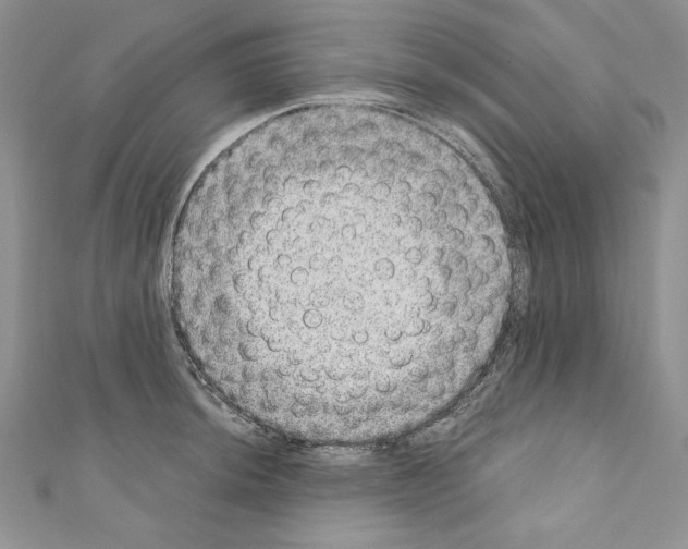 X0000110761044200907271140