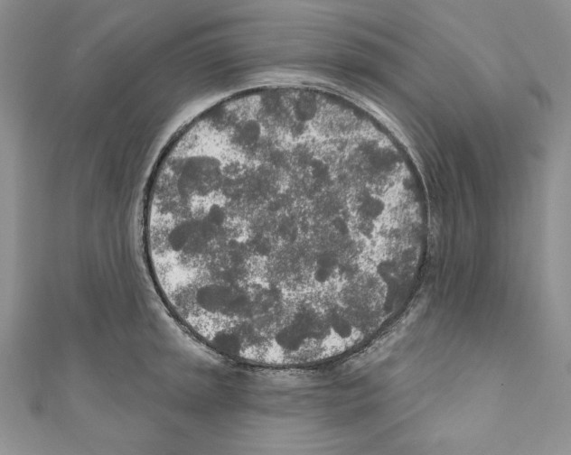 X0000110761045200907271140