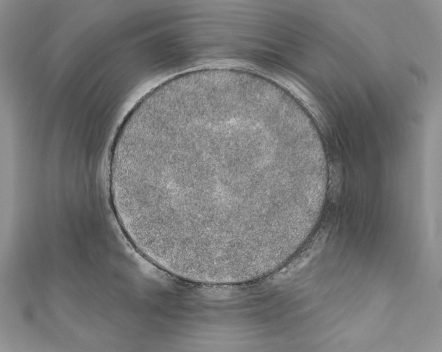 X0000110761046200907271140