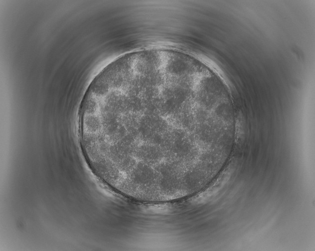 X0000110761047200907271140
