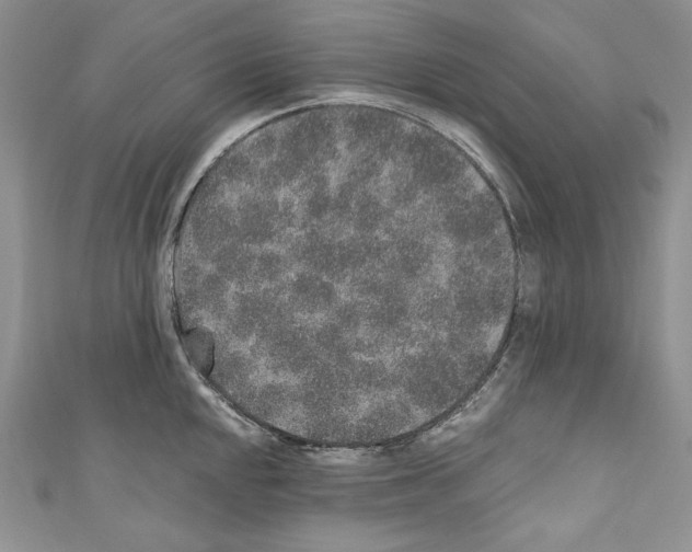 X0000110761048200907271140