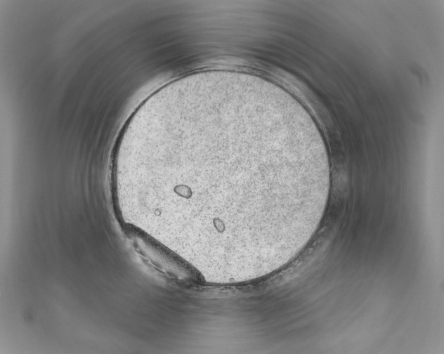 X0000110761050200907271140