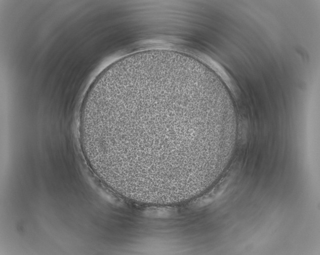 X0000110761051200907271140