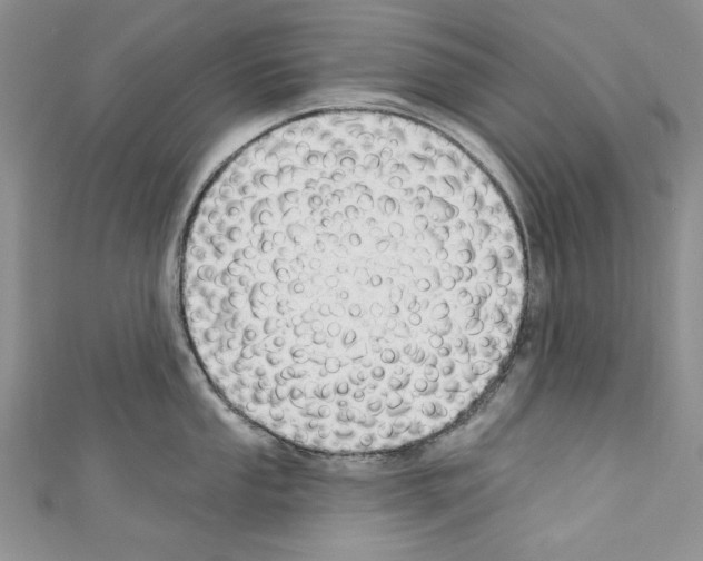 X0000110761053200907271140