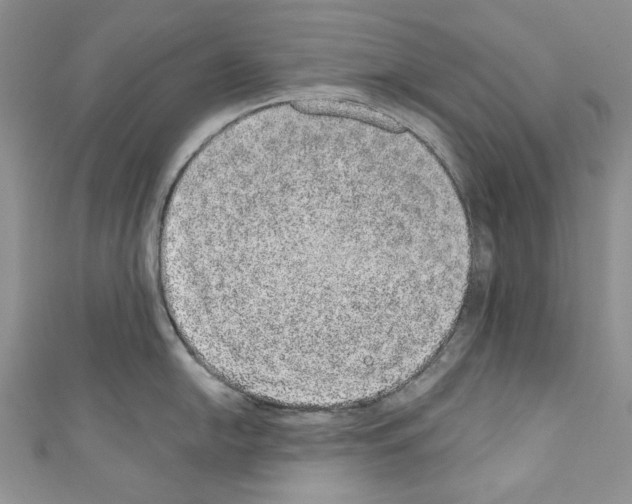 X0000110761054200907271140