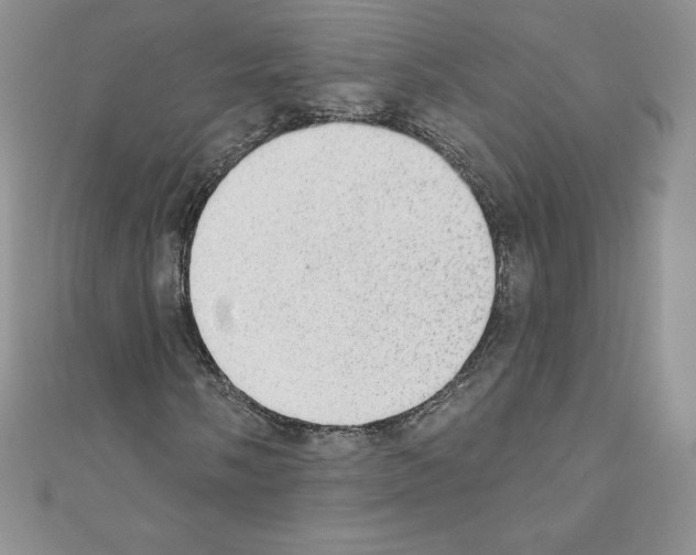 X0000110761058200907271139