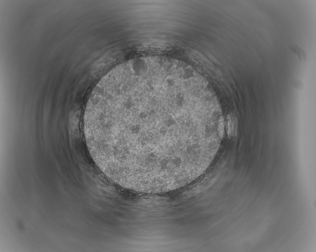 X0000110761059200907271139