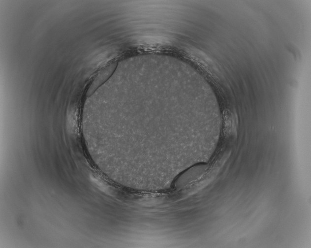 X0000110761060200907271139