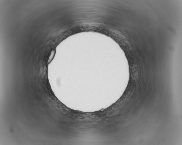 X0000110761061200907271139