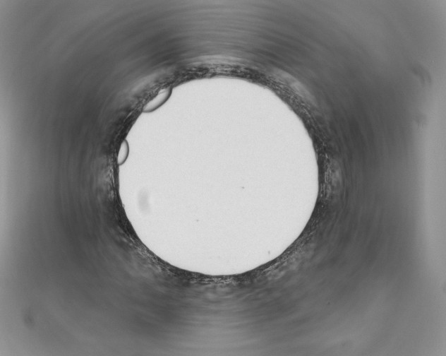 X0000110761062200907271139