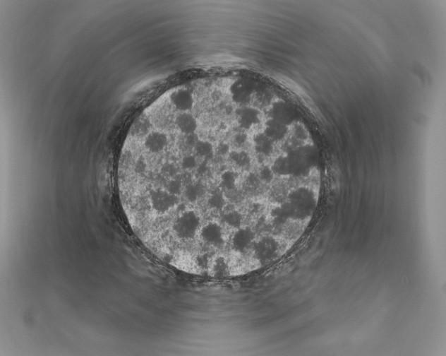 X0000110761063200907271139