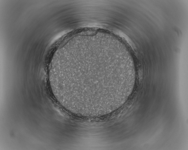 X0000110761064200907271139