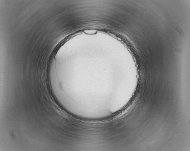 X0000110761065200907271139