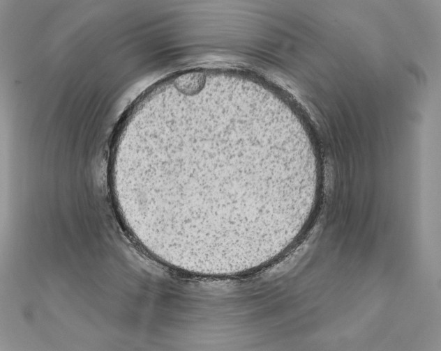 X0000110761066200907271139