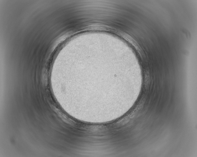 X0000110761067200907271139