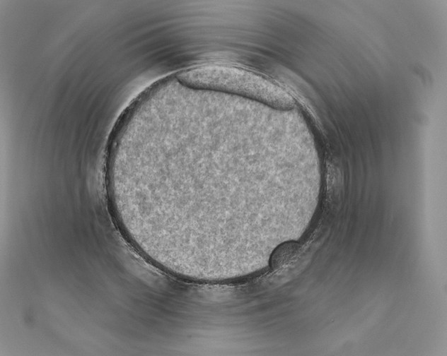X0000110761068200907271139