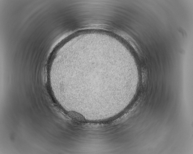 X0000110761069200907271139