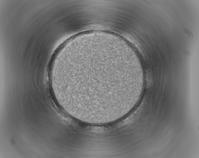 X0000110761070200907271139