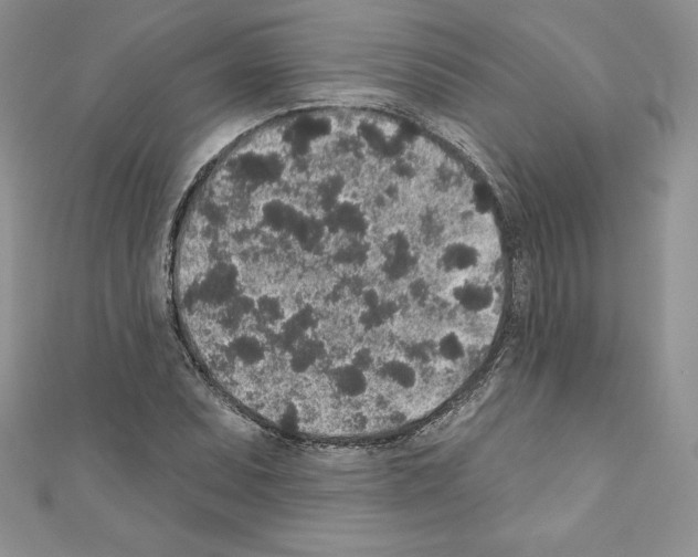 X0000110761071200907271139