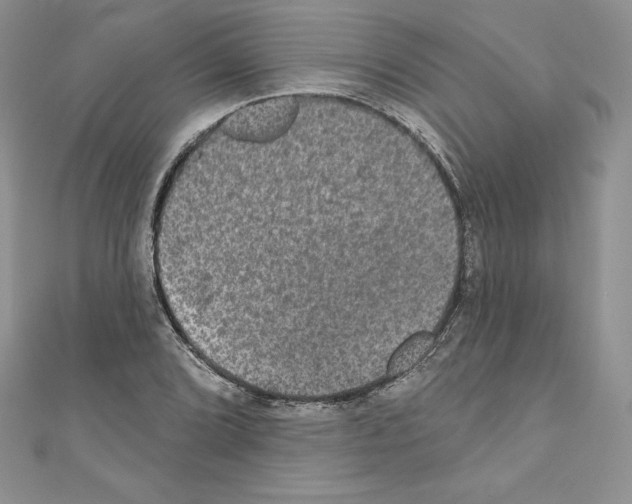 X0000110761072200907271139