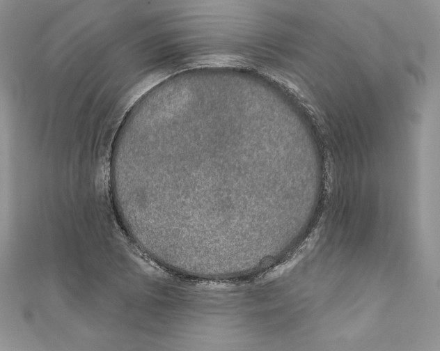 X0000110761073200907271139