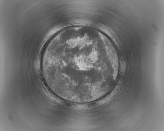 X0000110761074200907271139
