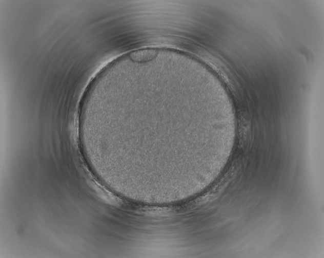 X0000110761076200907271139
