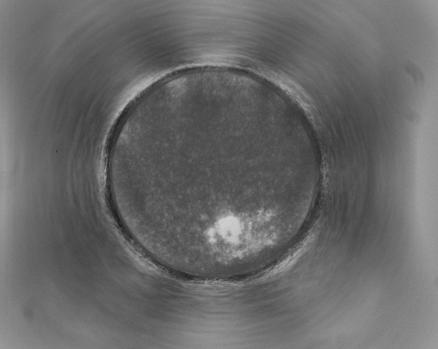 X0000110761077200907271139