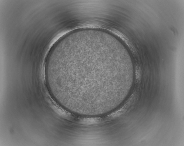 X0000110761078200907271139