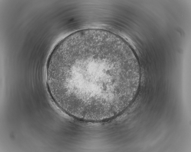 X0000110761080200907271139