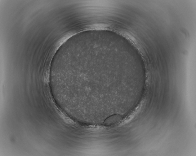 X0000110761081200907271139