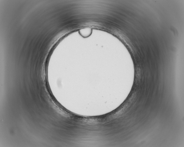 X0000110761082200907271139