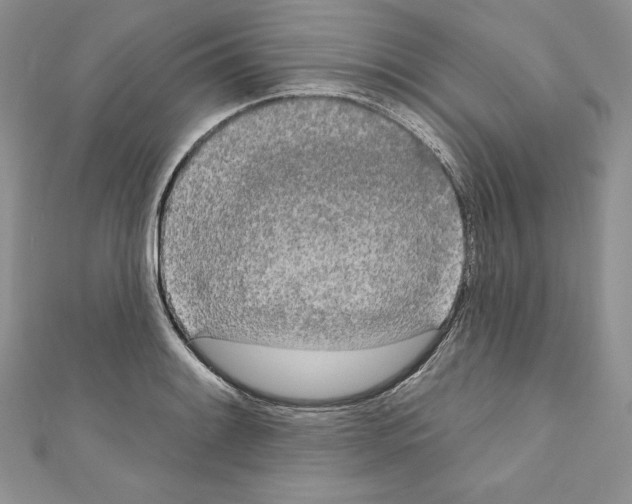 X0000110761084200907271139