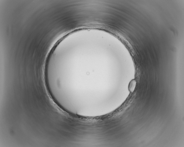 X0000110761085200907271139