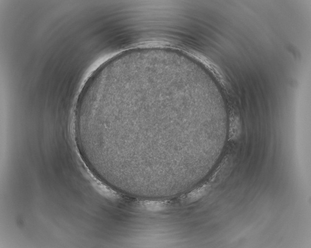 X0000110761086200907271138