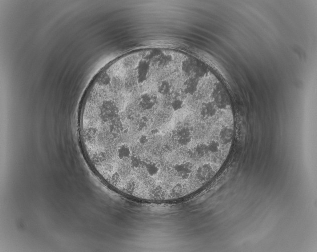 X0000110761087200907271138