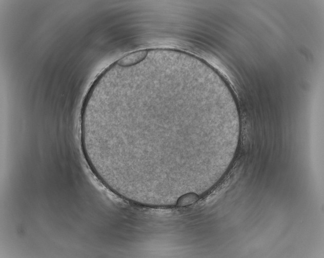 X0000110761088200907271138