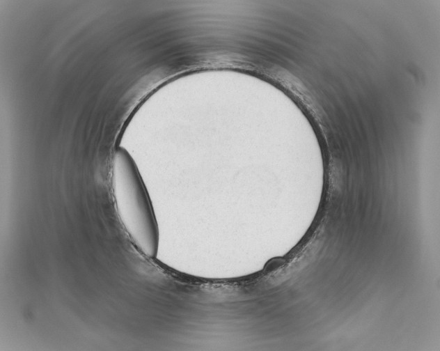 X0000110761089200907271138