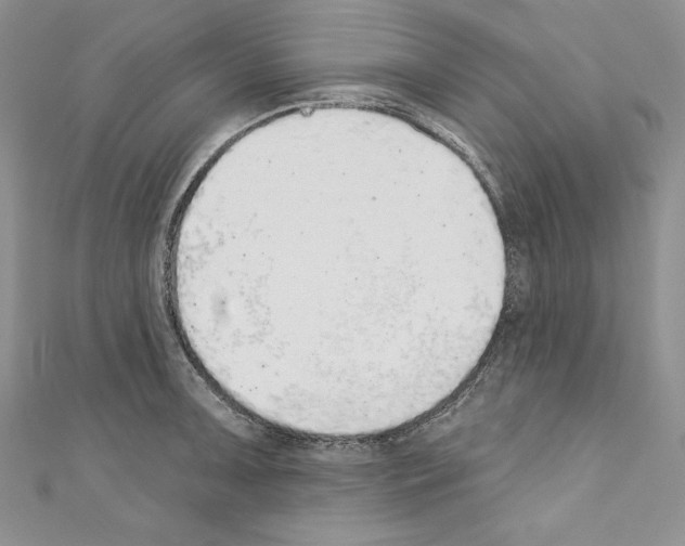 X0000110761091200907271138
