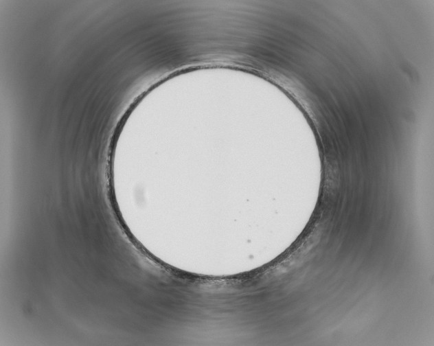 X0000110761093200907271138