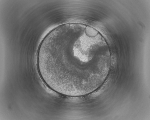 X0000110761094200907271138