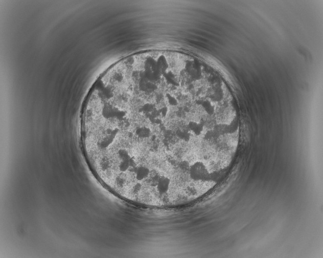 X0000110761095200907271138