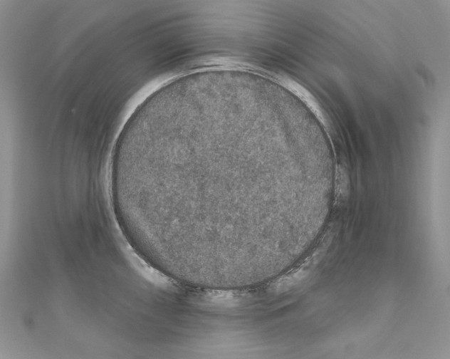X0000110761098200907271138