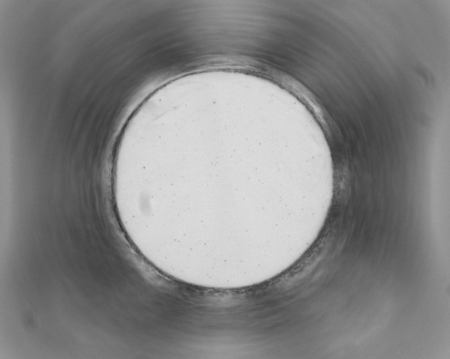 X0000110761099200907271138