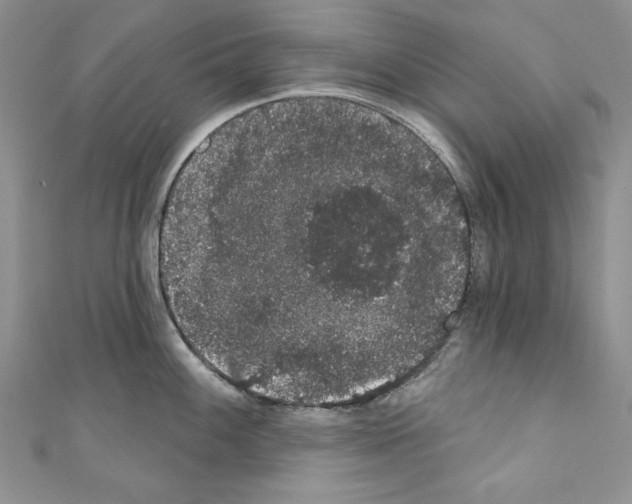 X0000110761100200907271138